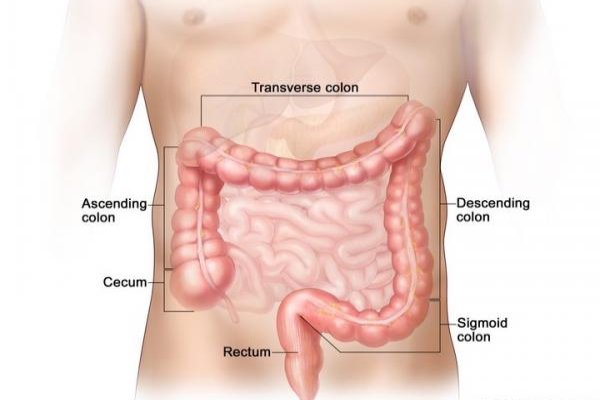 Colon Cancer and Rectal Cancer Robotic Surgery Treatment in Coimbatore - Dr. K. Balu