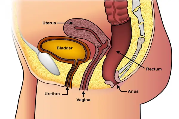 Rectal Prolapse Treatment in Coimbatore - Dr K Balu